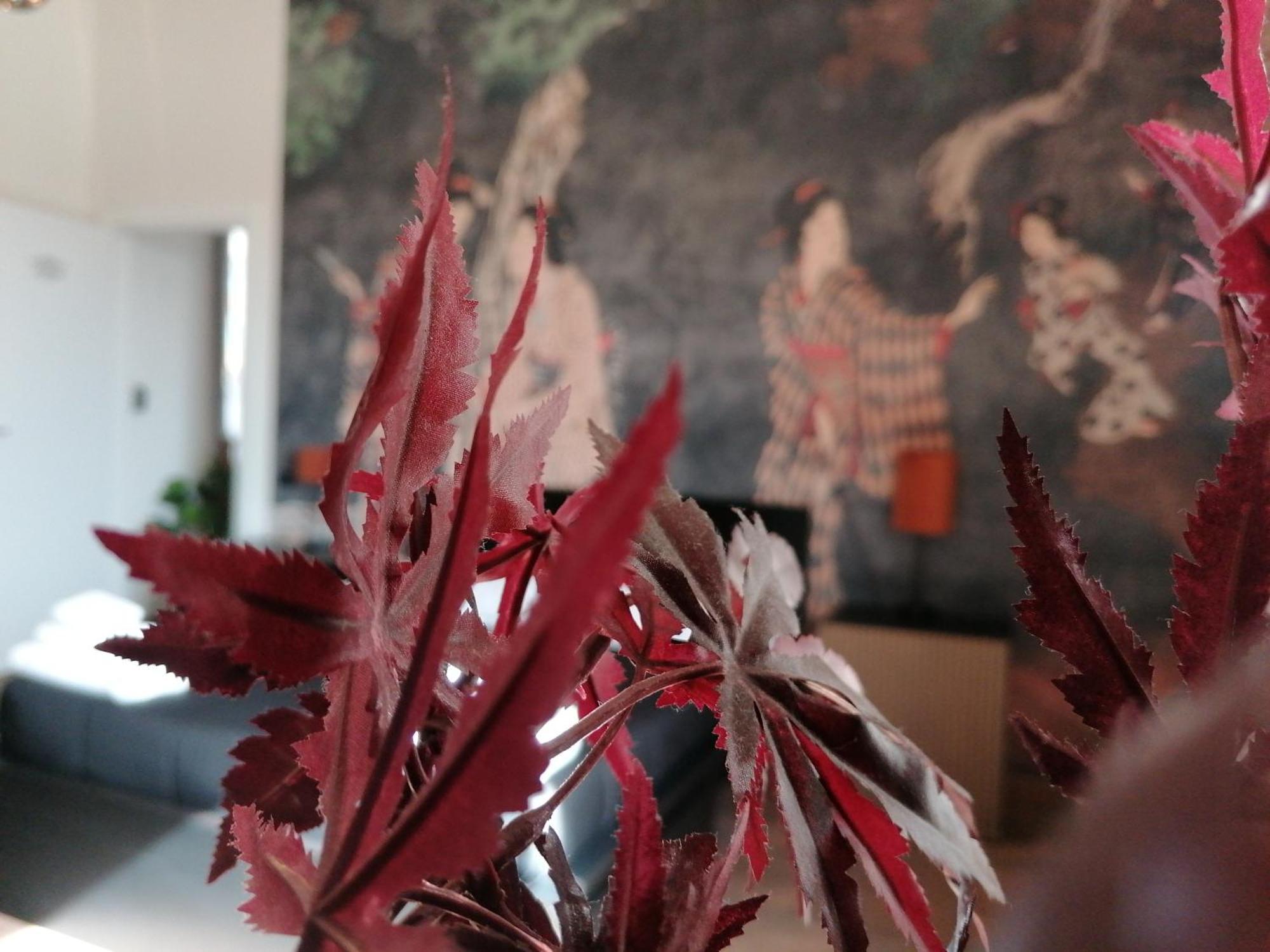 Le Boutique Luxury Rooms Diffused In Historic Center Fiumicino Ngoại thất bức ảnh