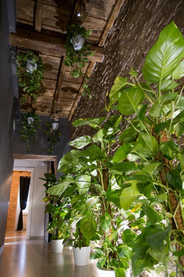 Le Boutique Luxury Rooms Diffused In Historic Center Fiumicino Ngoại thất bức ảnh
